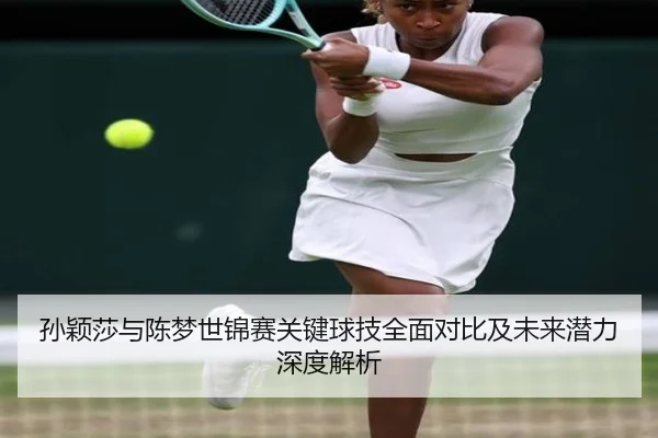 孙颖莎与陈梦世锦赛关键球技全面对比及未来潜力深度解析 | MANBETX SPORTS